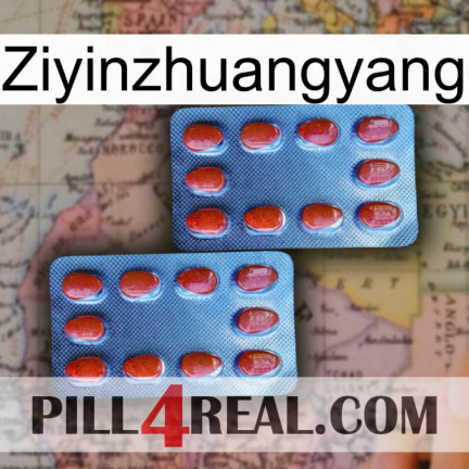 Ziyinzhuangyang 05